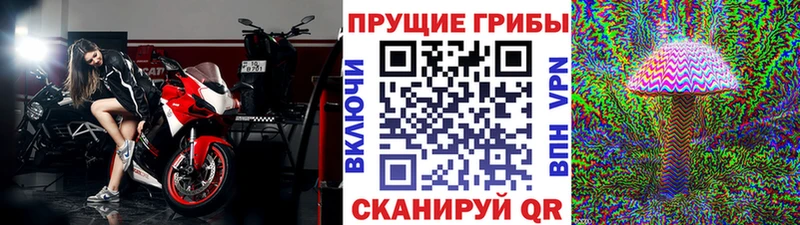 Галлюциногенные грибы Cubensis  Починок 